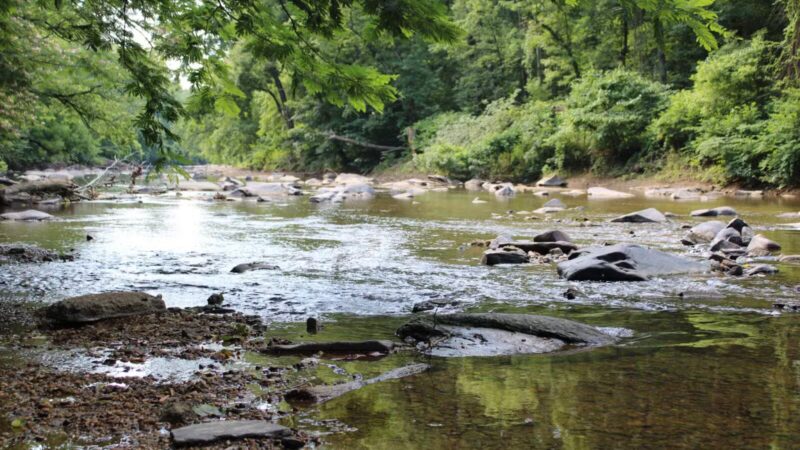 Gunpowder Falls State Park Central Area - Kingsville, MD