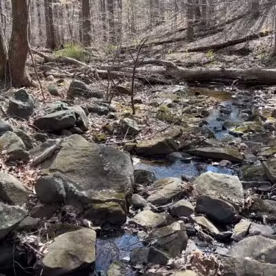Gunpowder Falls State Park Headquarters - Kingsville, MD