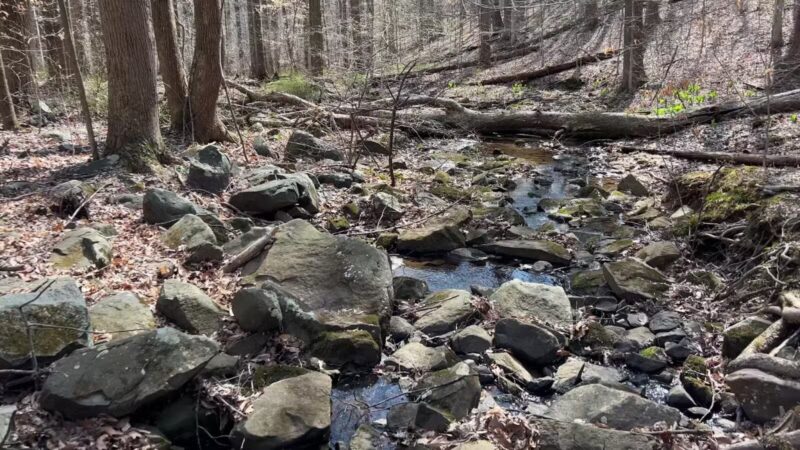 Gunpowder Falls State Park Headquarters - Kingsville, MD