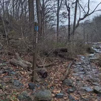 Gunpowder Falls State Park Parking-Pawpaws - Kingsville, MD
