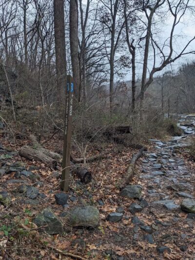 Gunpowder Falls State Park Parking-Pawpaws - Kingsville, MD