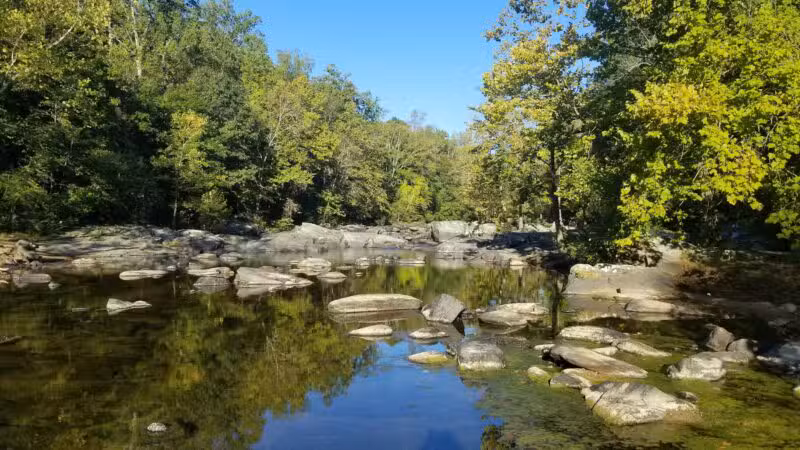 Gunpowder Falls State Park Parking-Pawpaws - Kingsville, MD