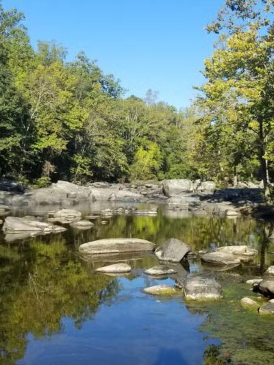 Gunpowder Falls State Park Parking-Pawpaws - Kingsville, MD