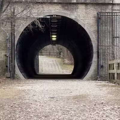 Gunpowder Falls State Park Parking-Pawpaws - Kingsville, MD