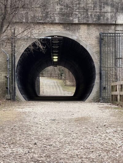Gunpowder Falls State Park Parking-Pawpaws - Kingsville, MD