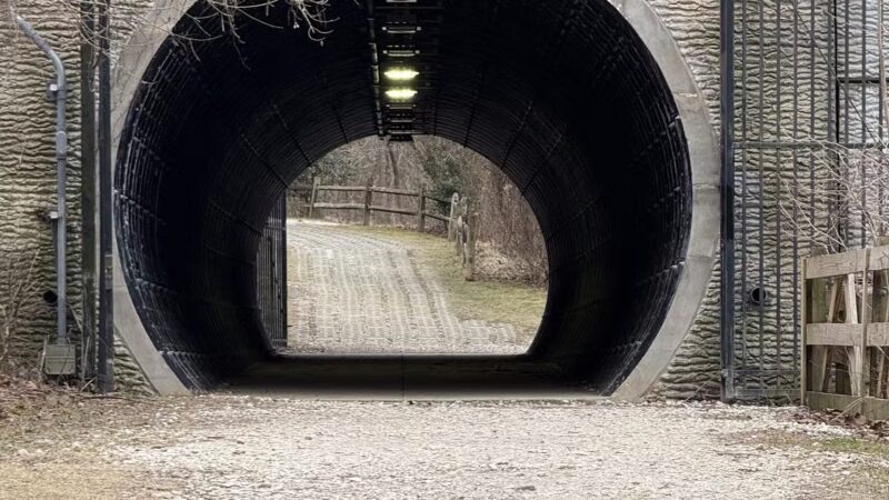 Gunpowder Falls State Park Parking-Pawpaws - Kingsville, MD