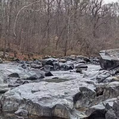 Gunpowder Falls State Park Parking-Pawpaws - Kingsville, MD
