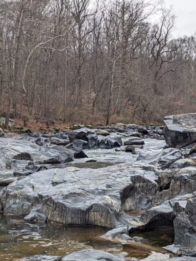 Gunpowder Falls State Park Parking-Pawpaws - Kingsville, MD