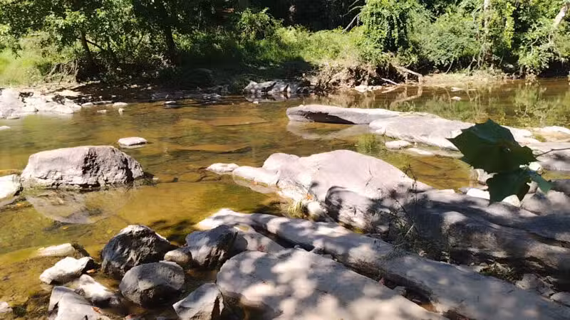 Gunpowder Falls State Park Parking-Pawpaws - Kingsville, MD
