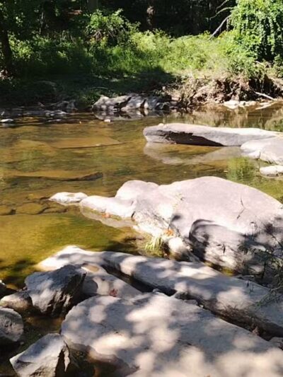 Gunpowder Falls State Park Parking-Pawpaws - Kingsville, MD