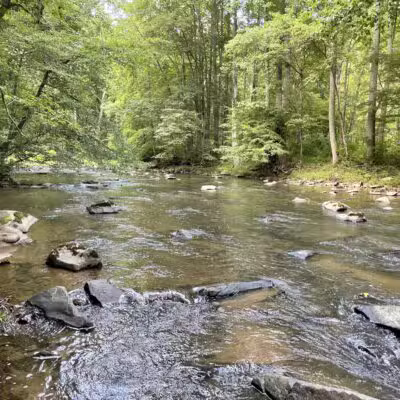 Gunpowder Falls Trail - Bel Air rd Crossing. - Kingsville, MD