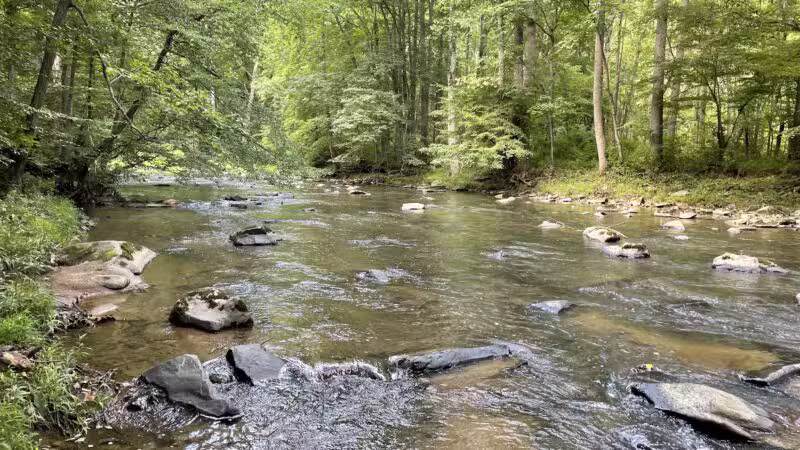 Gunpowder Falls Trail - Bel Air rd Crossing. - Kingsville, MD