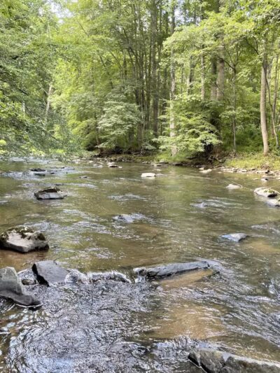 Gunpowder Falls Trail - Bel Air rd Crossing. - Kingsville, MD