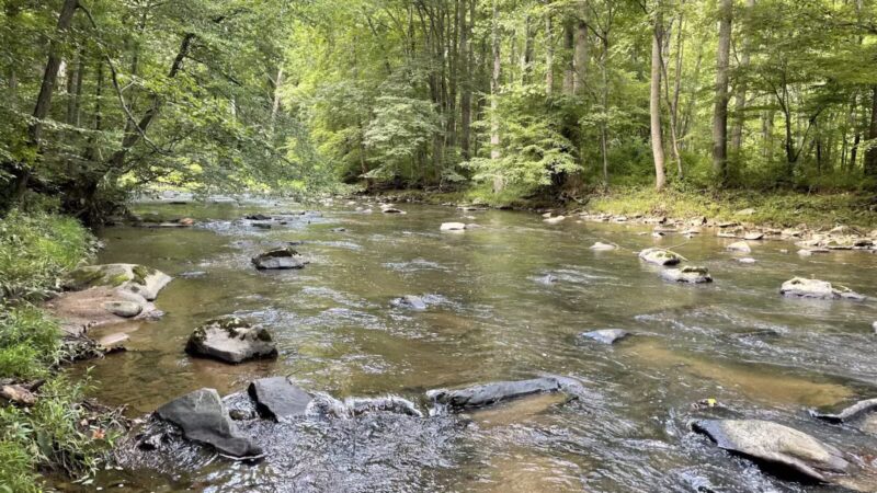 Gunpowder Falls Trail - Bel Air rd Crossing. - Kingsville, MD