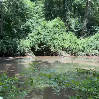 Gunpowder Falls Trail - Bel Air rd Crossing. - Kingsville, MD