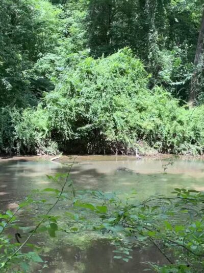 Gunpowder Falls Trail - Bel Air rd Crossing. - Kingsville, MD