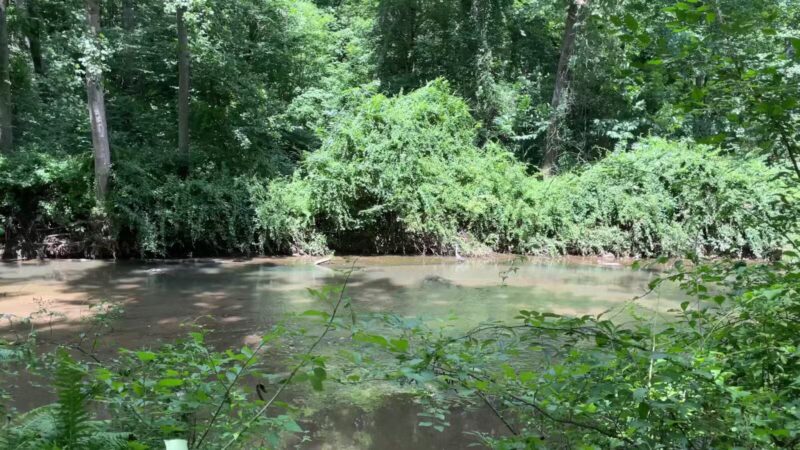 Gunpowder Falls Trail - Bel Air rd Crossing. - Kingsville, MD