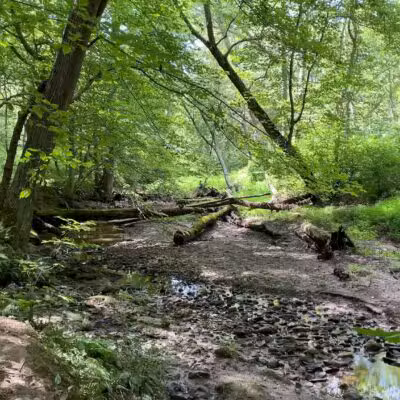 Gunpowder Falls Trail - Bel Air rd Crossing. - Kingsville, MD