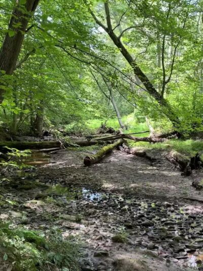 Gunpowder Falls Trail - Bel Air rd Crossing. - Kingsville, MD