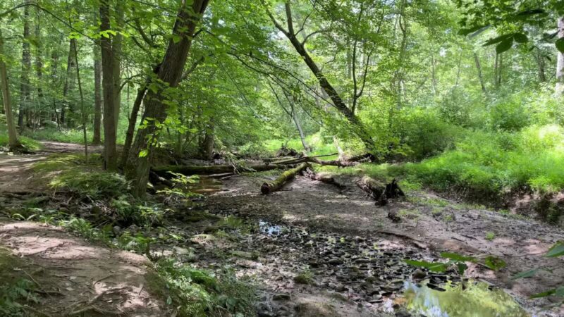 Gunpowder Falls Trail - Bel Air rd Crossing. - Kingsville, MD