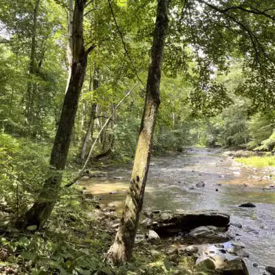 Gunpowder Falls Trail - Bel Air rd Crossing. - Kingsville, MD