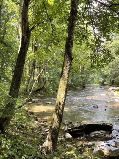 Gunpowder Falls Trail - Bel Air rd Crossing. - Kingsville, MD