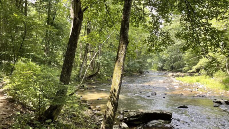 Gunpowder Falls Trail - Bel Air rd Crossing. - Kingsville, MD