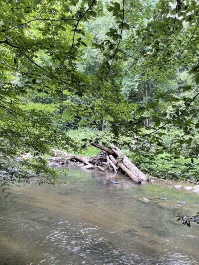 Gunpowder Falls Trail - Bel Air rd Crossing. - Kingsville, MD