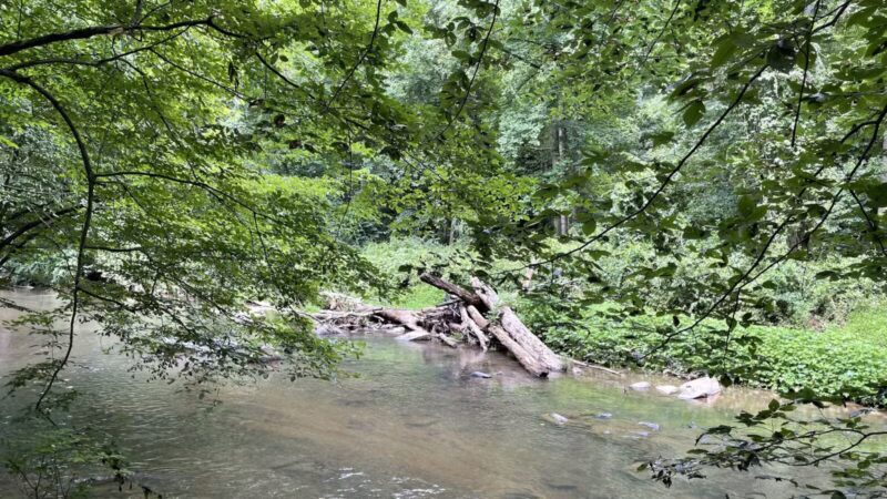 Gunpowder Falls Trail - Bel Air rd Crossing. - Kingsville, MD