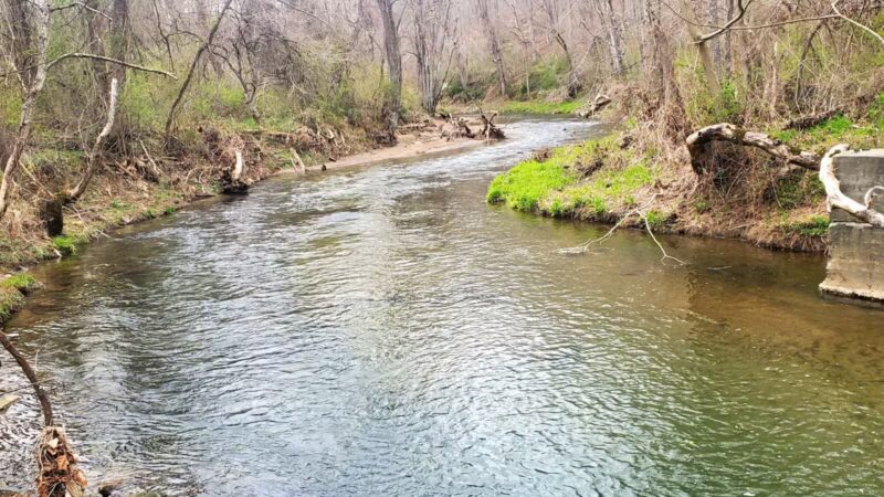 Gunpowder Falls Trail - Bel Air rd Crossing. - Kingsville, MD