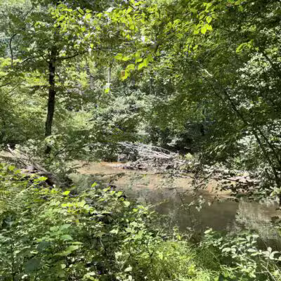 Gunpowder Falls Trail - Bel Air rd Crossing. - Kingsville, MD