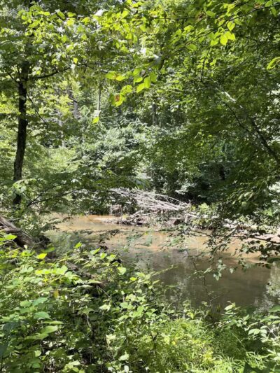 Gunpowder Falls Trail - Bel Air rd Crossing. - Kingsville, MD