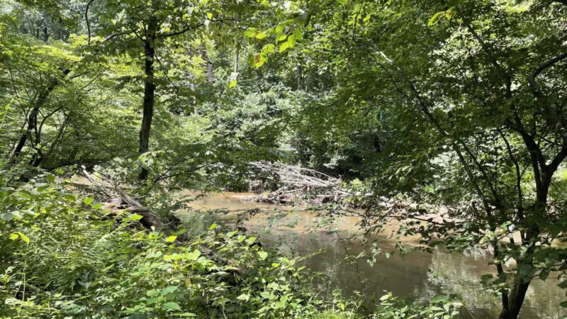 Gunpowder Falls Trail - Bel Air rd Crossing. - Kingsville, MD