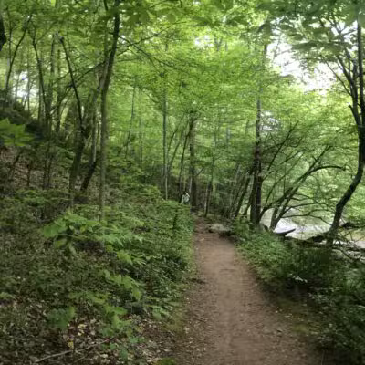 Little Gunpowder Falls State Park Trailhead - Kingsville, MD