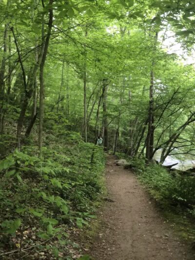 Little Gunpowder Falls State Park Trailhead - Kingsville, MD