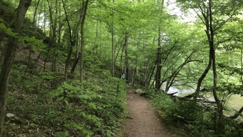 Little Gunpowder Falls State Park Trailhead - Kingsville, MD