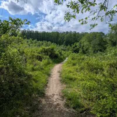 Little Gunpowder Falls State Park Trailhead - Kingsville, MD