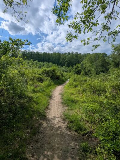 Little Gunpowder Falls State Park Trailhead - Kingsville, MD