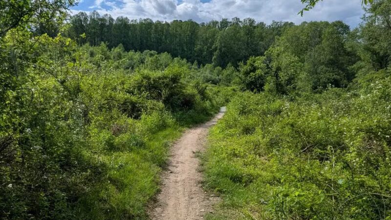 Little Gunpowder Falls State Park Trailhead - Kingsville, MD