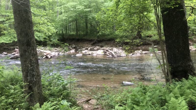 Little Gunpowder Falls State Park Trailhead - Kingsville, MD