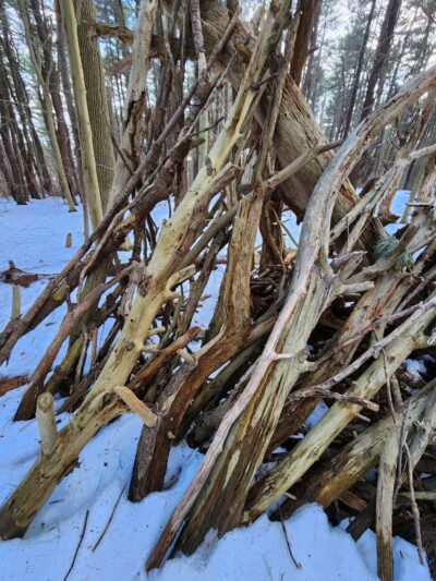 Rogers Park Conservation Area - Kittery, ME