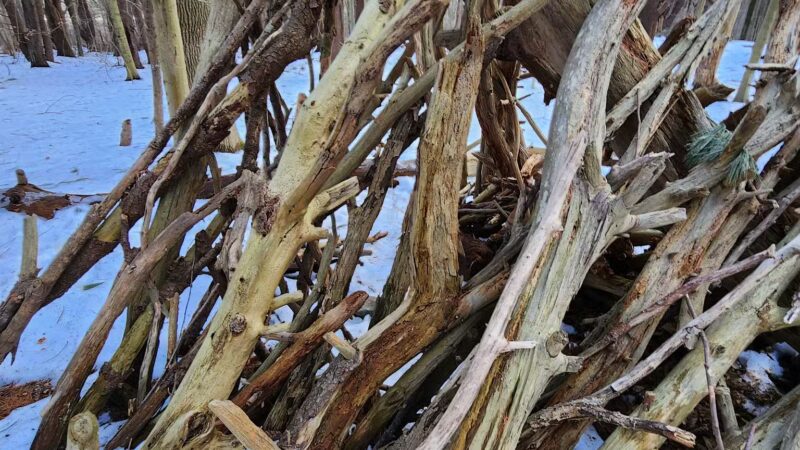 Rogers Park Conservation Area - Kittery, ME