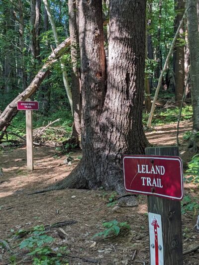 Rogers Park Conservation Area - Kittery, ME