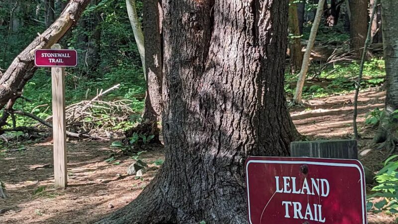 Rogers Park Conservation Area - Kittery, ME