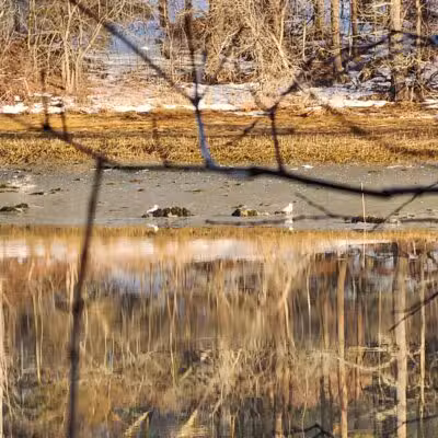 Rogers Park Conservation Area - Kittery, ME