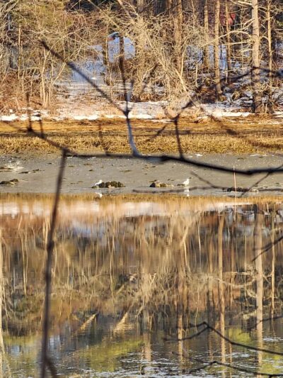 Rogers Park Conservation Area - Kittery, ME