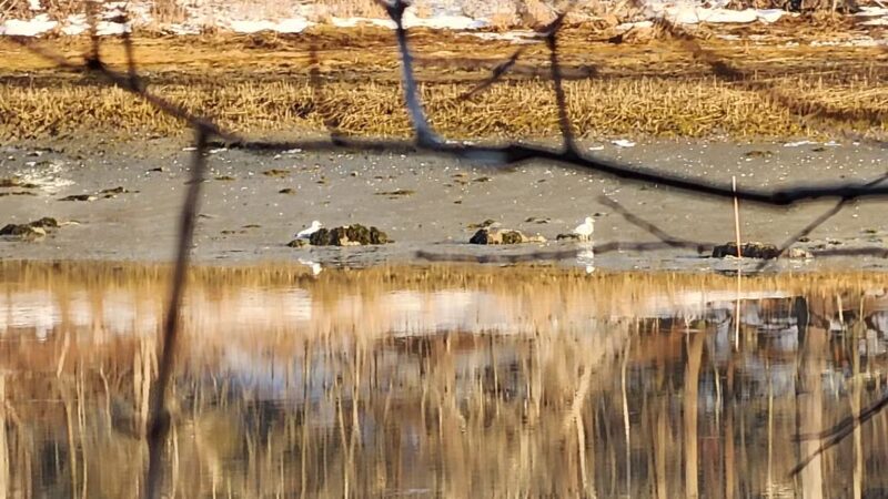 Rogers Park Conservation Area - Kittery, ME
