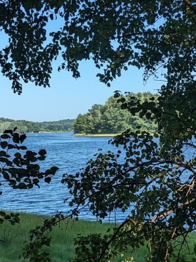 Rogers Park Conservation Area - Kittery, ME