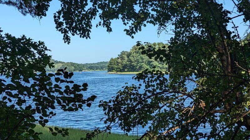 Rogers Park Conservation Area - Kittery, ME