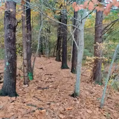 Rogers Park Conservation Area - Kittery, ME